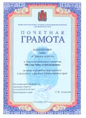 Почетная грамота министерства спорта, туризма и молодежной политики Красноярского края